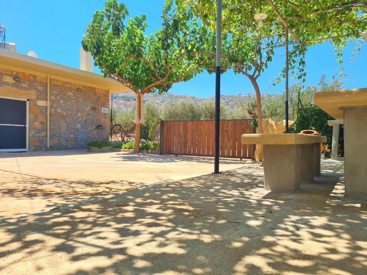Pause Serenity House Into Olive Groves Vila Agios Fotios Exterior foto