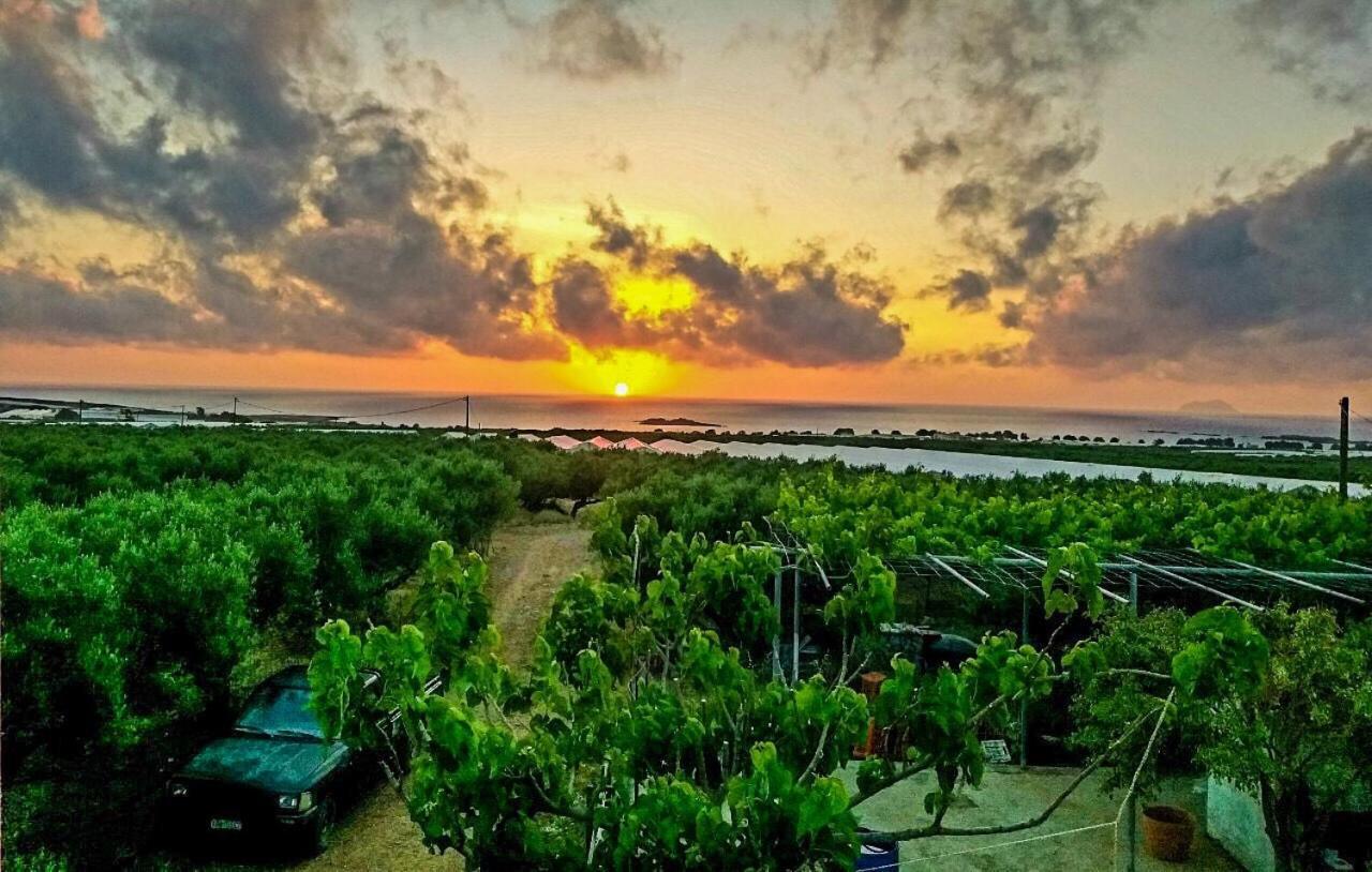 Pause Serenity House Into Olive Groves Vila Agios Fotios Exterior foto